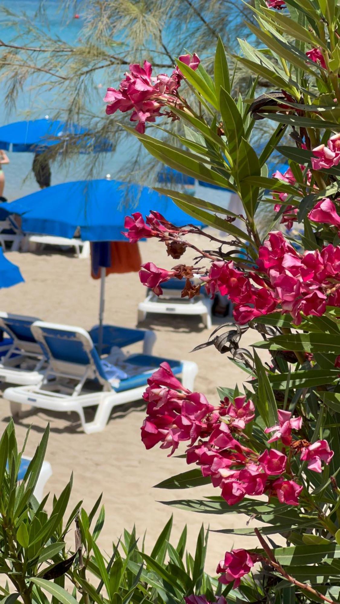 Adelais Bay Hotel Protaras Dış mekan fotoğraf